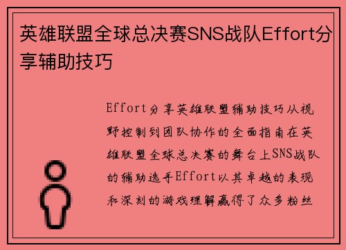 英雄联盟全球总决赛SNS战队Effort分享辅助技巧
