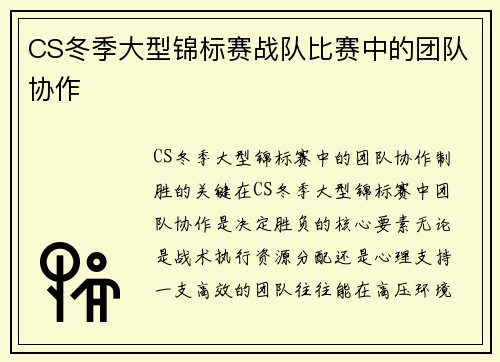 CS冬季大型锦标赛战队比赛中的团队协作